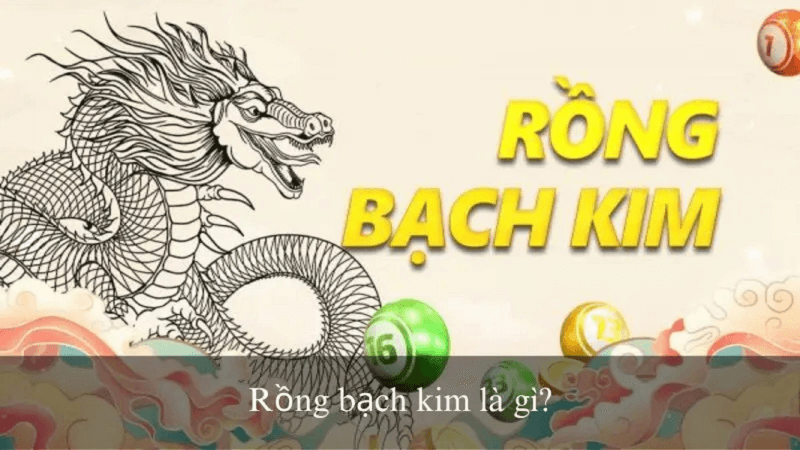 Soi Cau Bach Kim là gì?