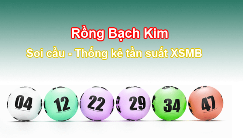 Những Điều Cần Lưu Ý Khi Sử Dụng Soi Cầu Rồng Bạch Kim