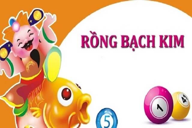 Soi Rong Bach Kim – Sân Chơi Giải Trí Chất Lượng