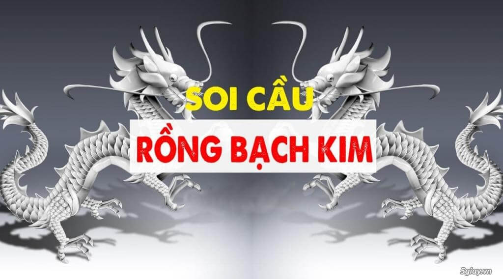 Cách Sử Dụng Soi Cầu Rồng Bạch Kim 666