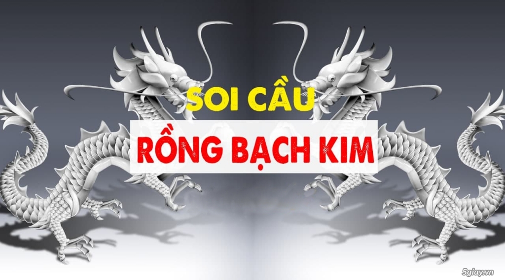 Phân tích thống kê kết quả xổ số Rồng Bạch Kim Cơ sở cho dự đoán