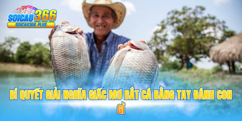Bí quyết giải nghĩa giấc mơ bắt cá bằng tay đánh con gì