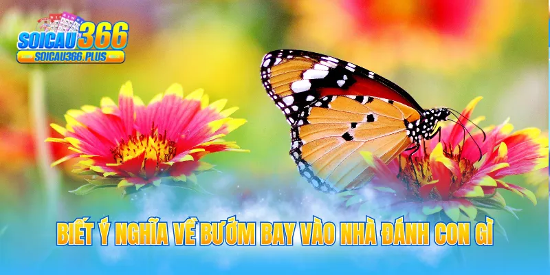 Biết ý nghĩa về bướm bay vào nhà đánh con gì