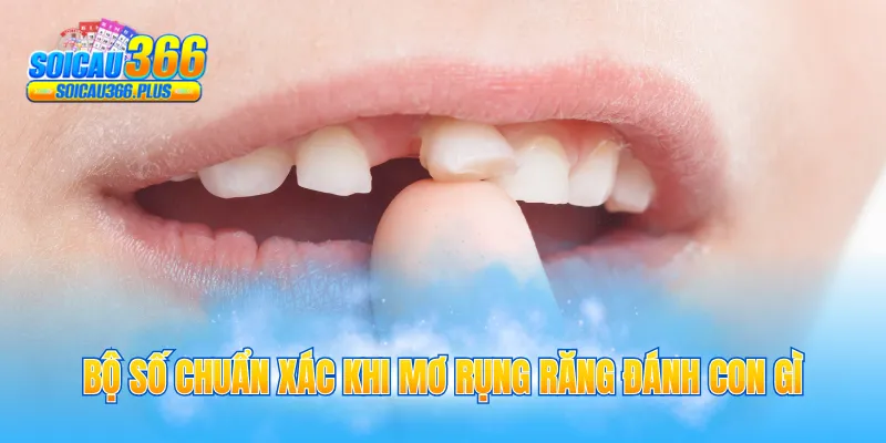 Bộ số chuẩn xác khi mơ rụng răng đánh con gì