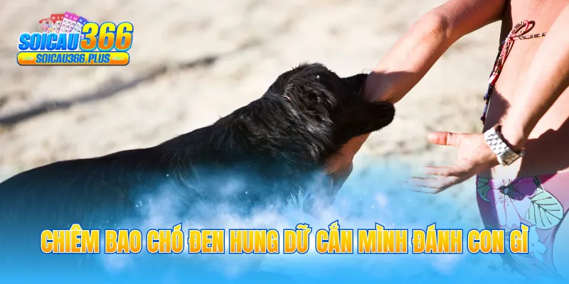 Chiêm bao chó đen hung dữ cắn mình đánh con gì