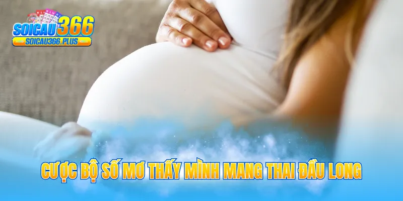 Cược bộ số mơ thấy mình mang thai đầu long