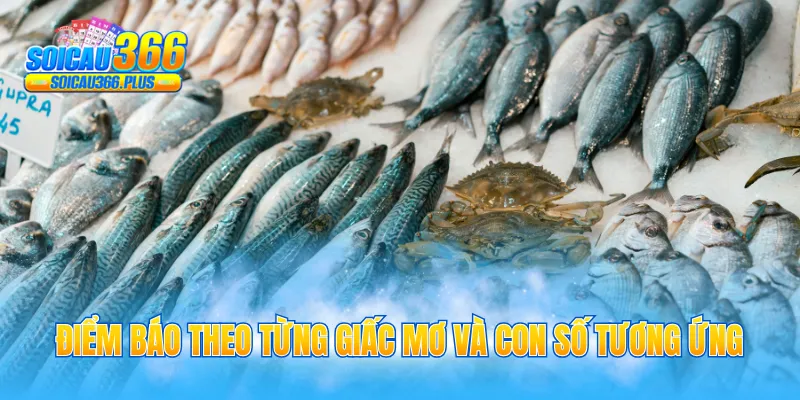 Điểm báo theo từng giấc mơ và con số tương ứng
