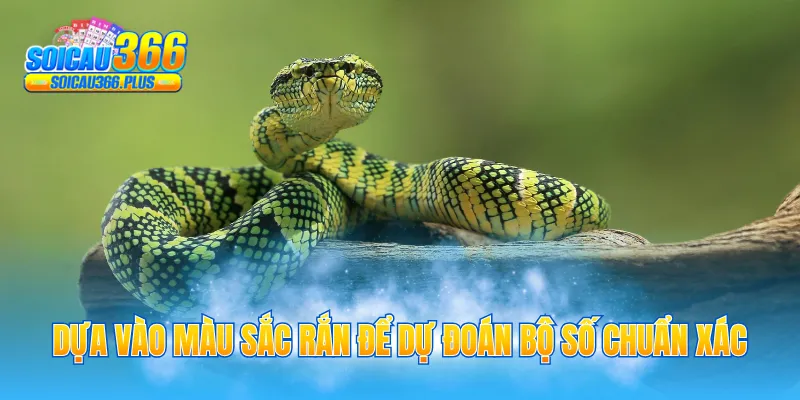 Dựa vào màu sắc rắn để dự đoán bộ số chuẩn xác