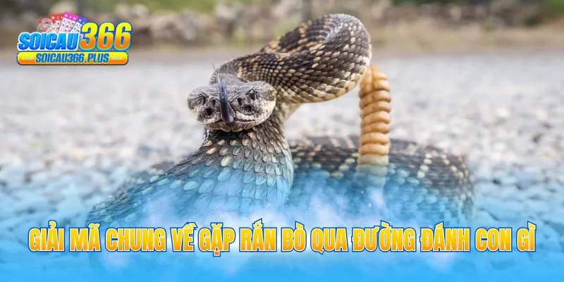 Giải mã chung về gặp rắn bò qua đường đánh con gì