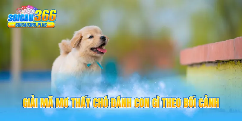 Giải mã mơ thấy chó đánh con gì theo bối cảnh