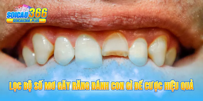 Lọc bộ số mơ gãy răng đánh con gì để cược hiệu quả