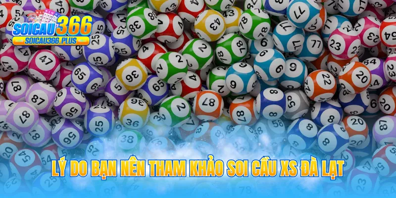 Lý do bạn nên tham khảo soi cầu XS Đà Lạt