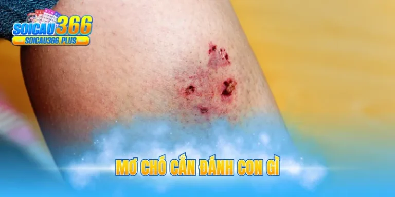 mơ chó cắn đánh con gì