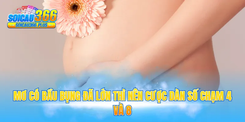 Mơ có bầu bụng đã lớn thì nên cược dàn số chạm 4 và 8