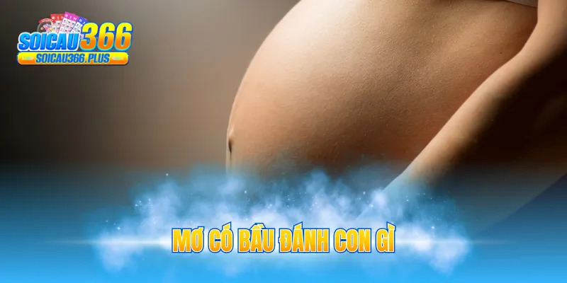 mơ có bầu đánh con gì