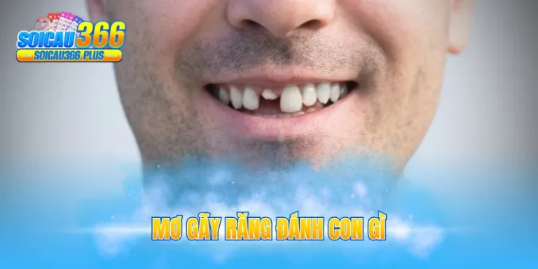 mơ gãy răng đánh con gì