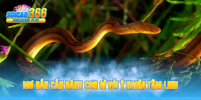 Mơ rắn cắn đánh con gì với ý nghĩa tâm linh