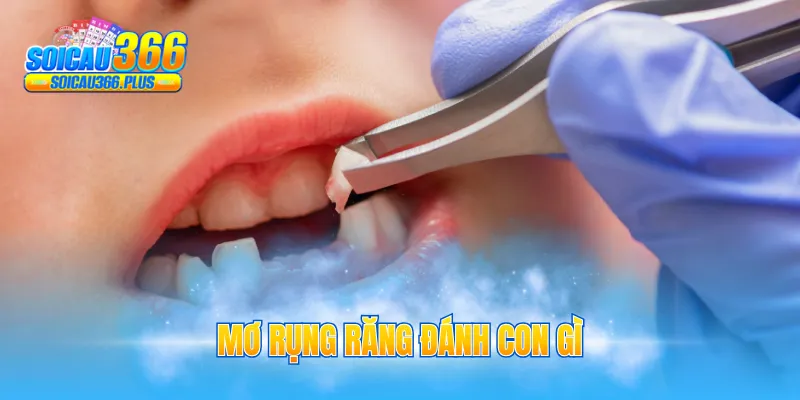 mơ rụng răng đánh con gì