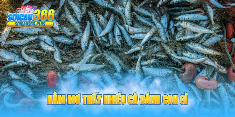 nằm mơ thấy nhiều cá đánh con gì
