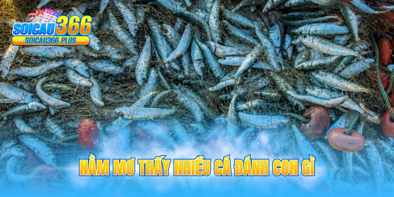 nằm mơ thấy nhiều cá đánh con gì