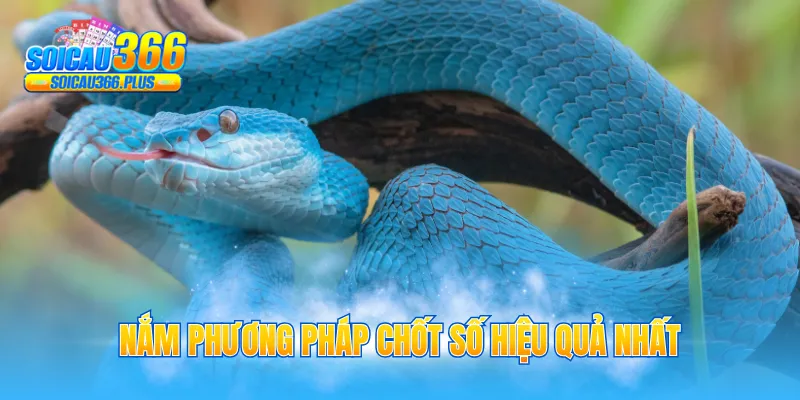 Nắm phương pháp chốt số hiệu quả nhất