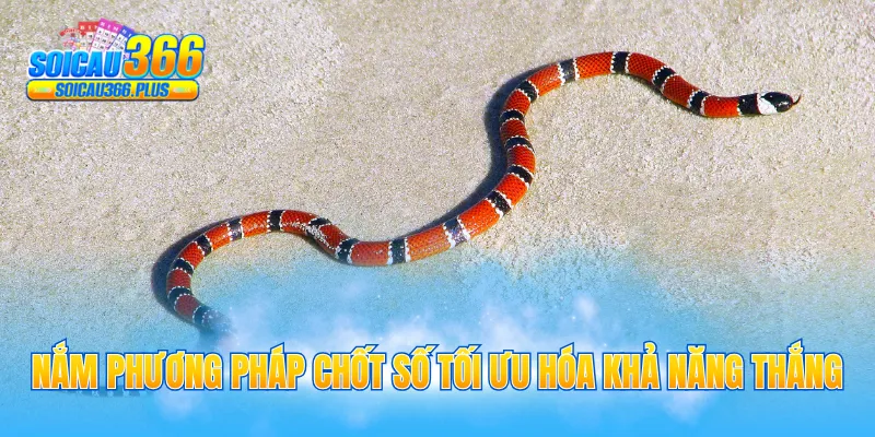 Nắm phương pháp chốt số tối ưu hóa khả năng thắng