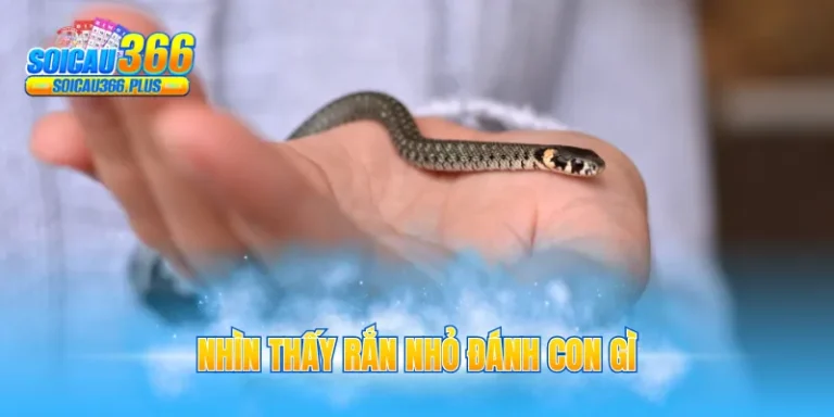 nhìn thấy rắn nhỏ đánh con gì