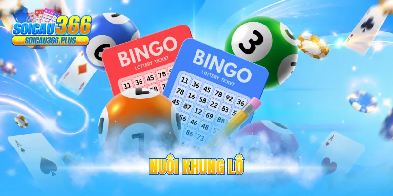 nuôi khung lô