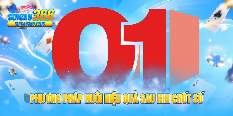 Phương pháp nuôi hiệu quả sau khi chốt số