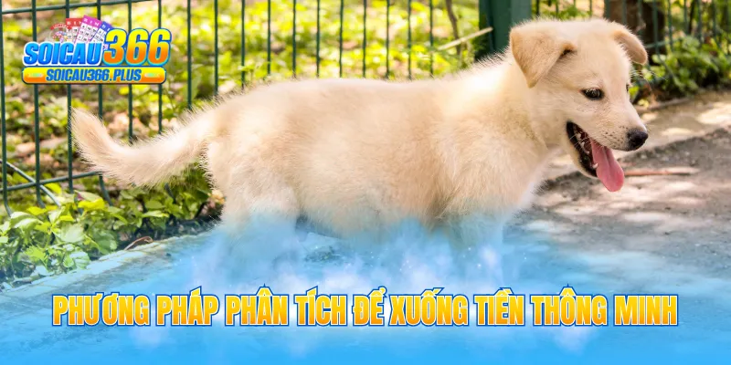 Phương pháp phân tích để xuống tiền thông minh 