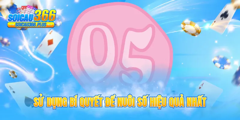 Sử dụng bí quyết để nuôi số hiệu quả nhất