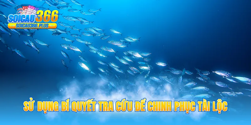 Sử dụng bí quyết tra cứu để chinh phục tài lộc