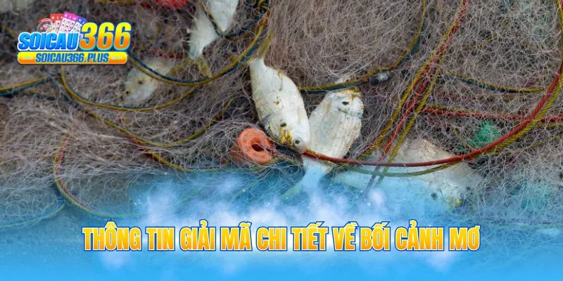 Thông tin giải mã chi tiết về bối cảnh mơ