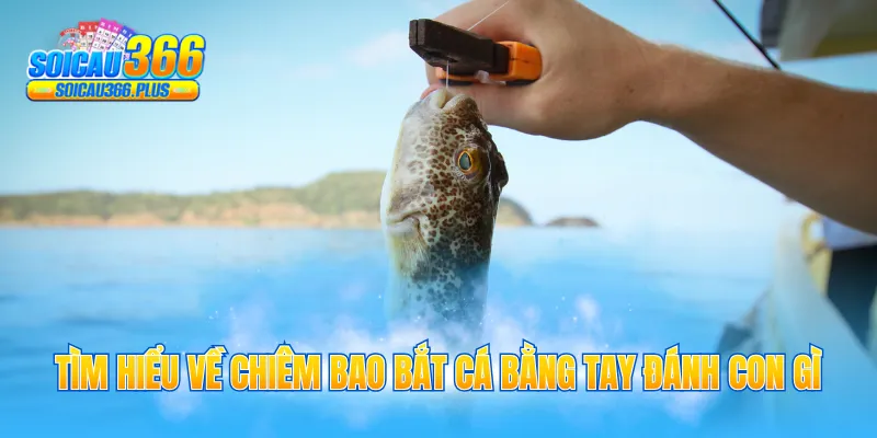 Tìm hiểu về chiêm bao bắt cá bằng tay đánh con gì