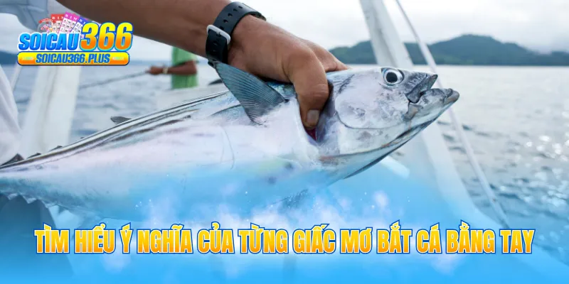 Tìm hiểu ý nghĩa của từng giấc mơ bắt cá bằng tay