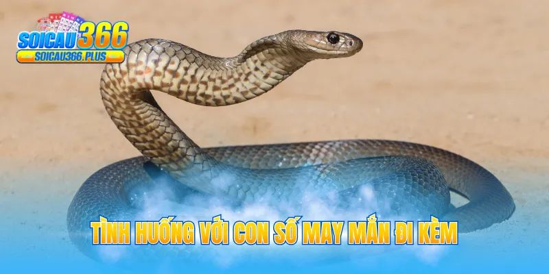 Tình huống với con số may mắn đi kèm